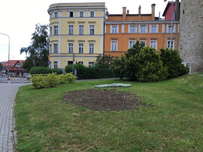 podlewanie-od-rana-do-wieczora-foto-63722