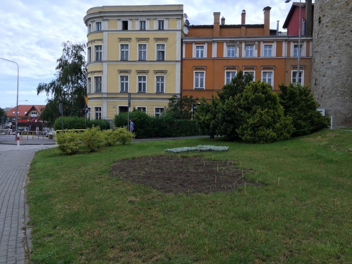 podlewanie-od-rana-do-wieczora-foto-63722