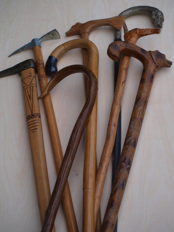 laski-jerzego-jakubowa-w-muzeum-przyrodniczym-63742