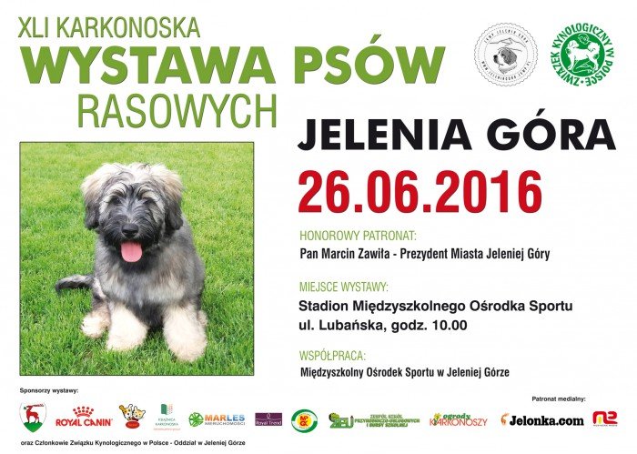 karkonoska-wystawa-psow-rasowych-juz-w-niedziele-63744
