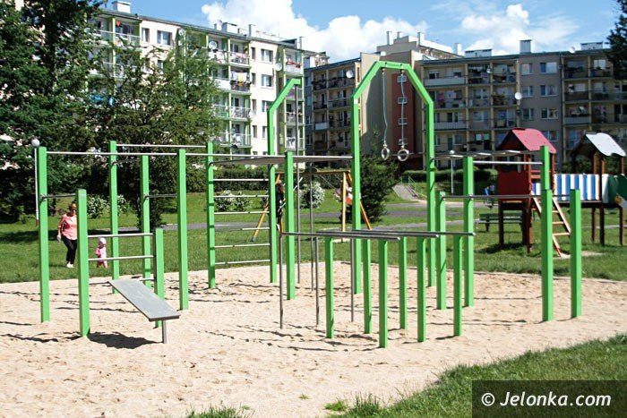 hustawka-dla-dzieci-na-wozkach-prawie-gotowa-foto-63778
