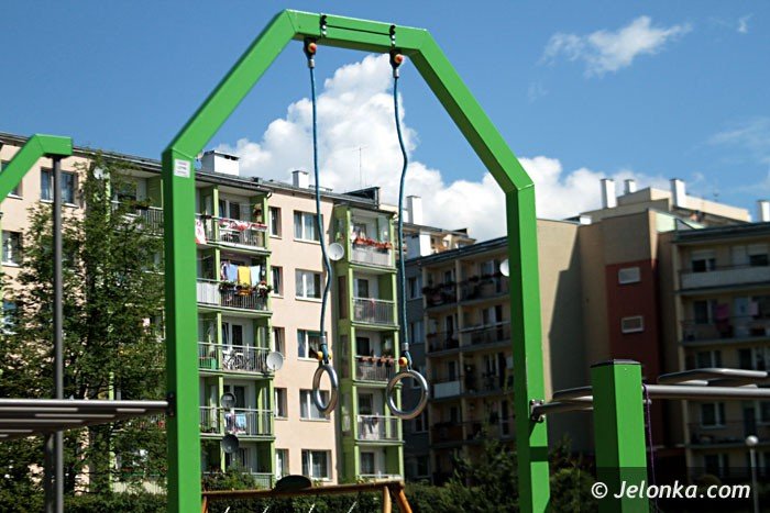 hustawka-dla-dzieci-na-wozkach-prawie-gotowa-foto-63778