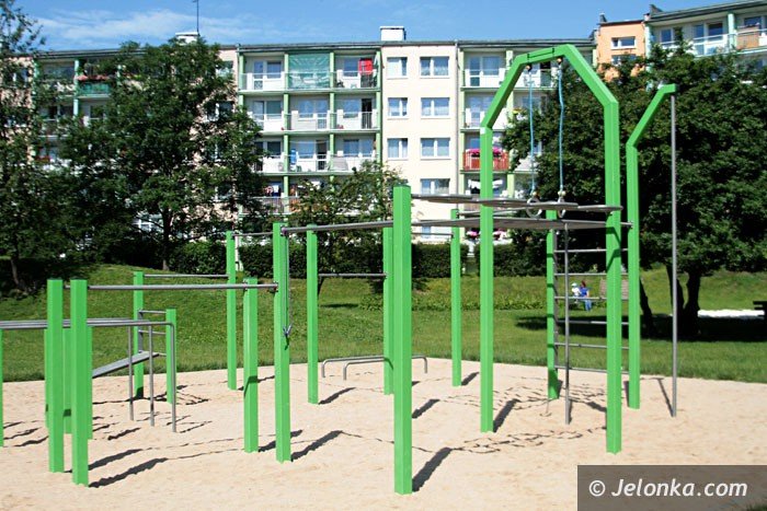 hustawka-dla-dzieci-na-wozkach-prawie-gotowa-foto-63778