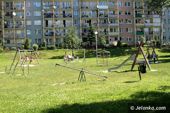 hustawka-dla-dzieci-na-wozkach-prawie-gotowa-foto-63778
