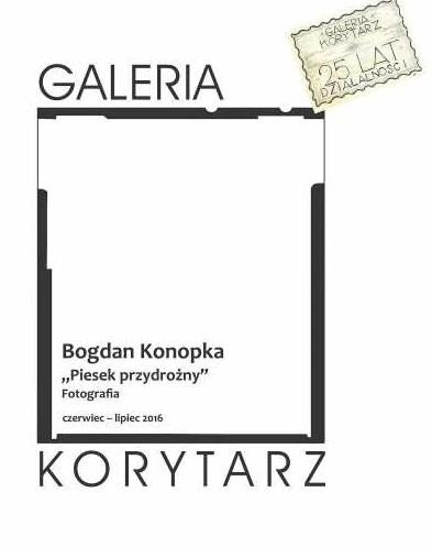 piesek-przydrozny-w-galerii-korytarz-63786