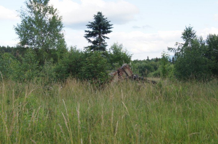Domek do wynajęcia