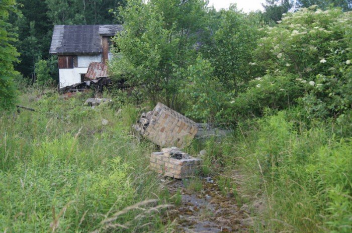 Domek do wynajęcia
