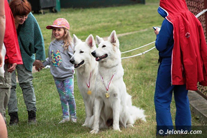 psy-rasowe-opanoway-cieplicki-stadion-foto-63834