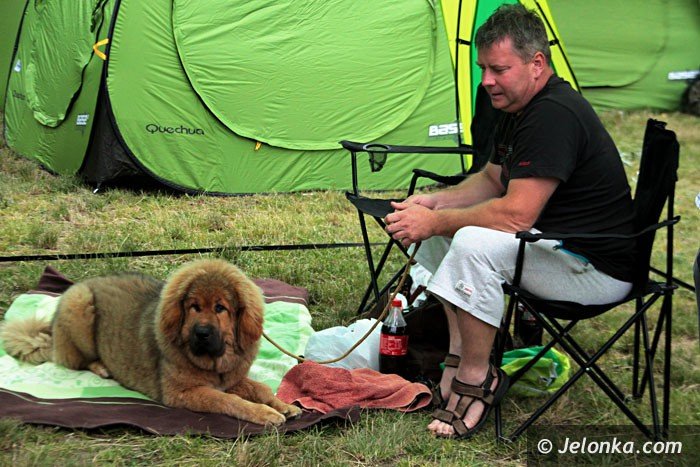 psy-rasowe-opanoway-cieplicki-stadion-foto-63834