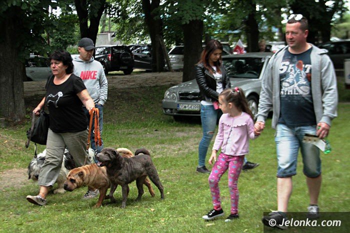 psy-rasowe-opanoway-cieplicki-stadion-foto-63834