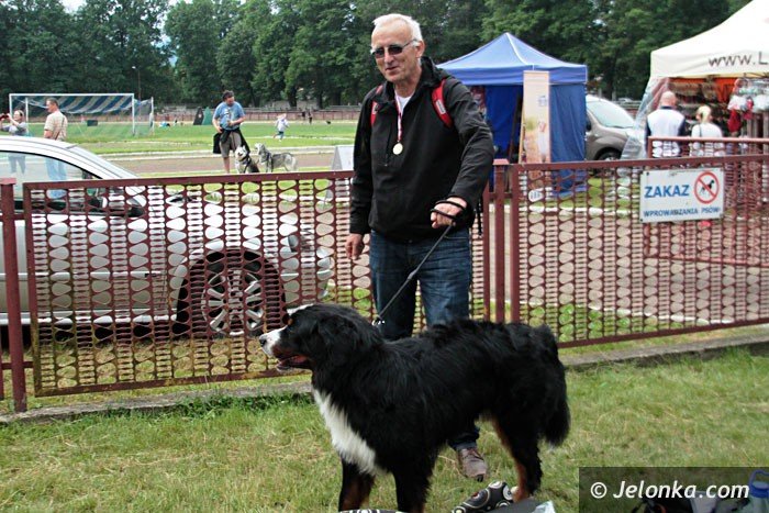 psy-rasowe-opanoway-cieplicki-stadion-foto-63834