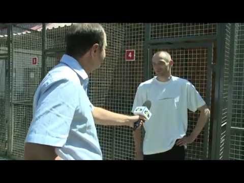 nie-kupuj-zaadoptuj-psa-ze-schronika-video-63841