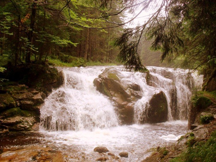 w-niezwyka-podroz-po-regionie-z-jelonkacom-foto-63877