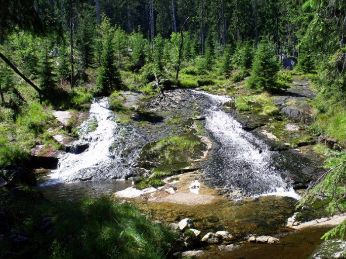 w-niezwyka-podroz-po-regionie-z-jelonkacom-foto-63877