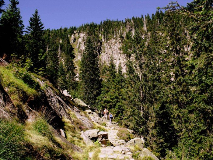 w-niezwyka-podroz-po-regionie-z-jelonkacom-foto-63877