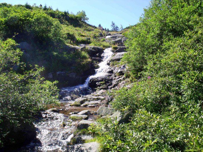 w-niezwyka-podroz-po-regionie-z-jelonkacom-foto-63877