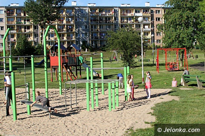 niepenosprawne-dzieci-moga-juz-korzystac-z-hustawki-foto-63878