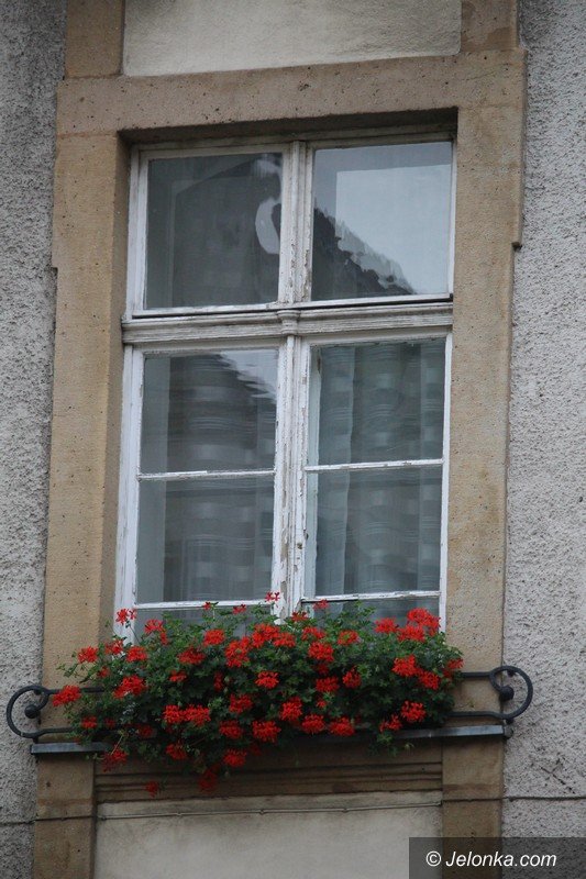 wstydliwa-wizytowka-miasta-odzyska-blask-foto-63919