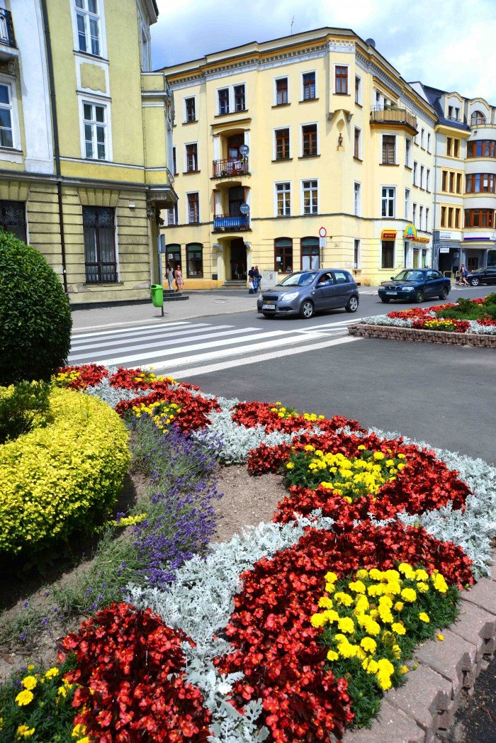 jelenia-gora-pachnie-lawenda-foto-63928