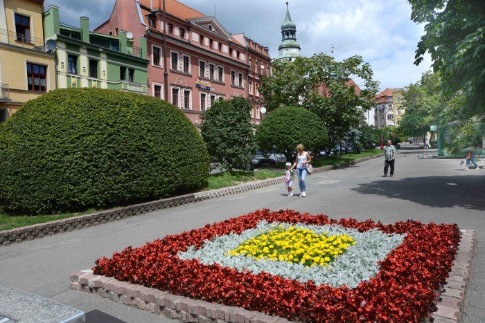 jelenia-gora-pachnie-lawenda-foto-63928
