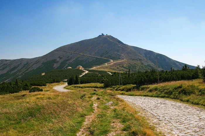 Śnieżka