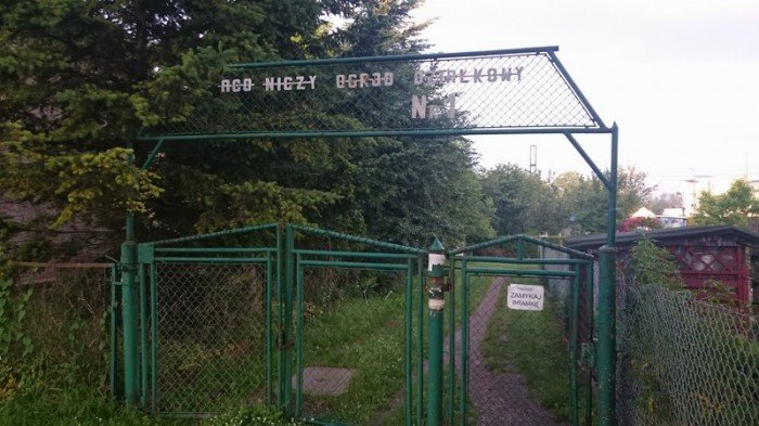 Ul. Działkowicza