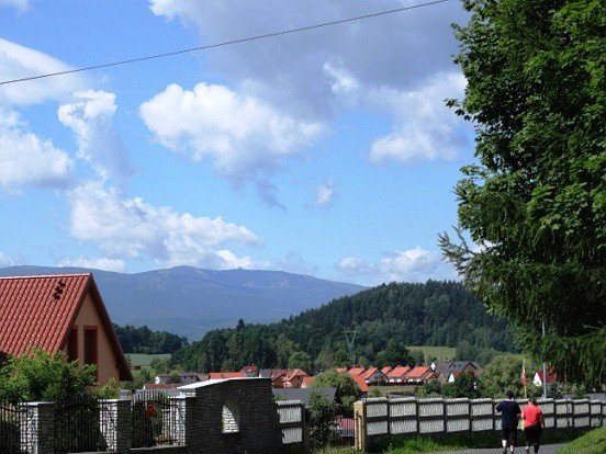 pokolonie-w-mdk-na-pometku-foto-63970