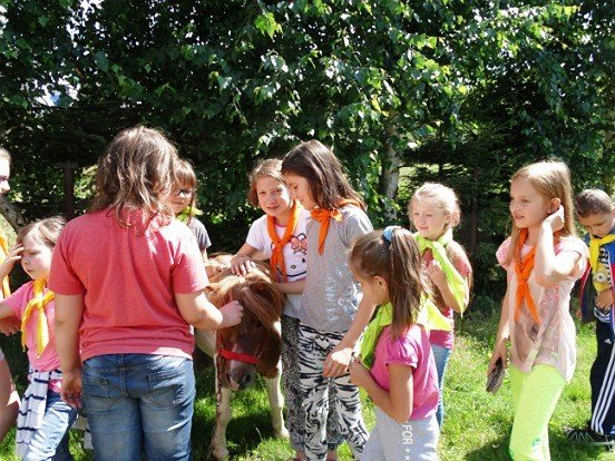 pokolonie-w-mdk-na-pometku-foto-63970