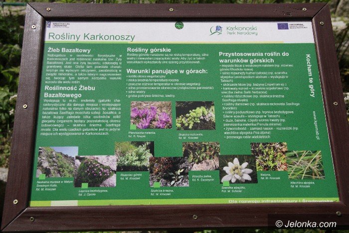 zywy-bank-genow-otwarty-dla-turystow-foto-63987