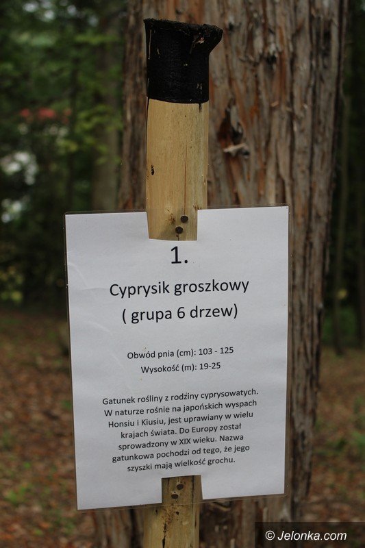 w-parku-powstaja-stawy-kaskadowe-foto-63988