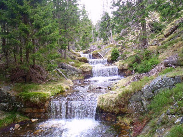 w-niezwyka-podroz-po-regionie-z-jelonkacom-foto-63992