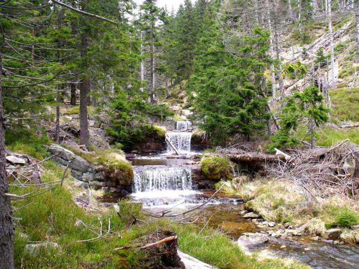 w-niezwyka-podroz-po-regionie-z-jelonkacom-foto-63992