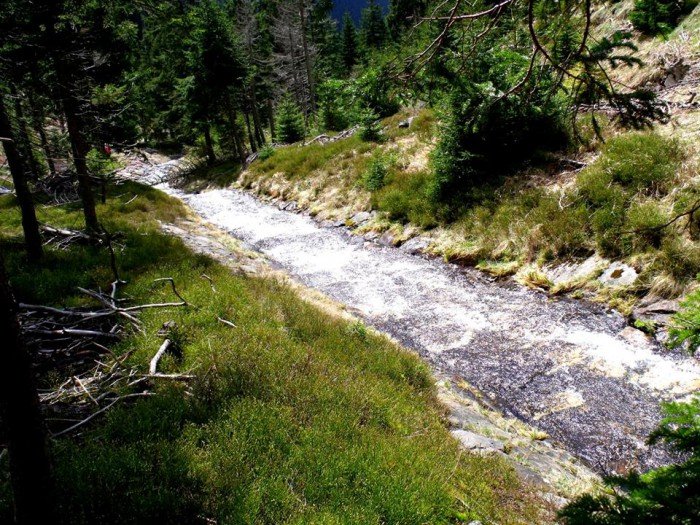 w-niezwyka-podroz-po-regionie-z-jelonkacom-foto-63992