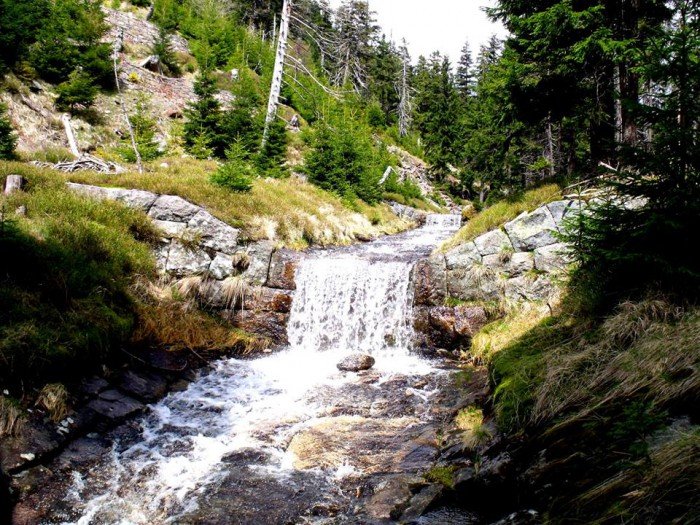 w-niezwyka-podroz-po-regionie-z-jelonkacom-foto-63992