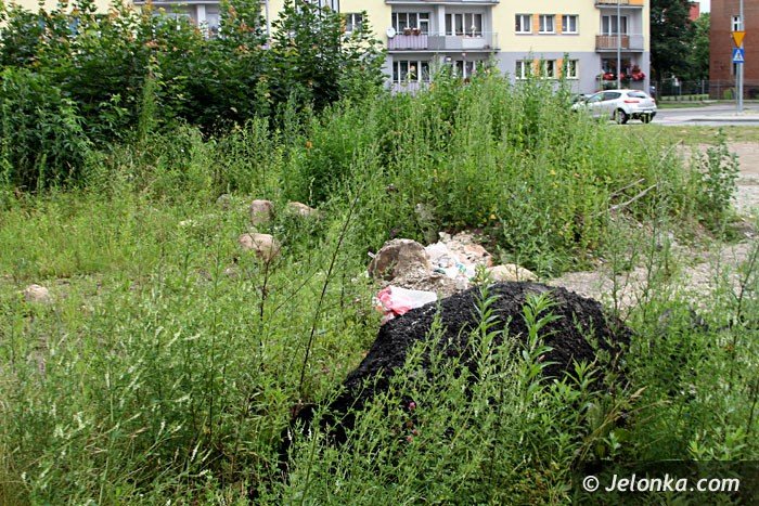 centrum-znow-porosy-chaszcze-foto-64000