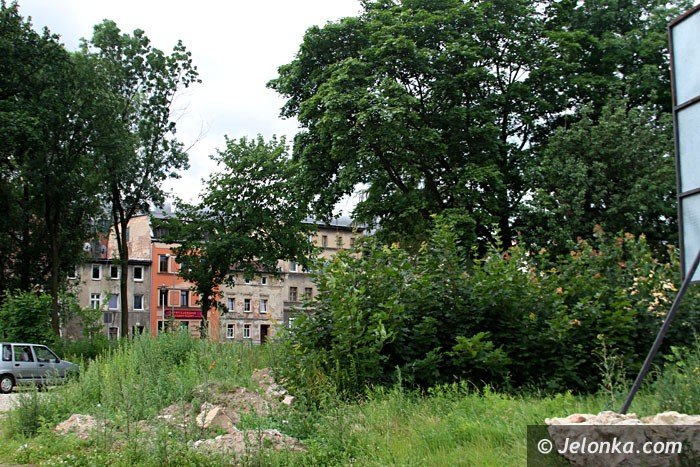 centrum-znow-porosy-chaszcze-foto-64000