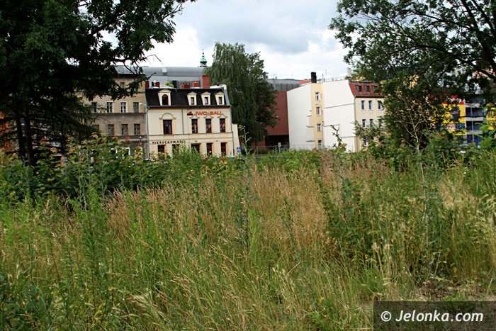 centrum-znow-porosy-chaszcze-foto-64000