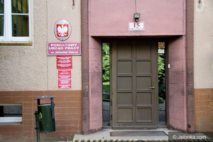 kukucze-jajo-w-urzedzie-pracy-64007