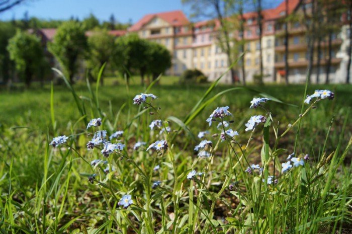 szlakiem-sanatoriow-i-ksieznej-feodory-foto-64019