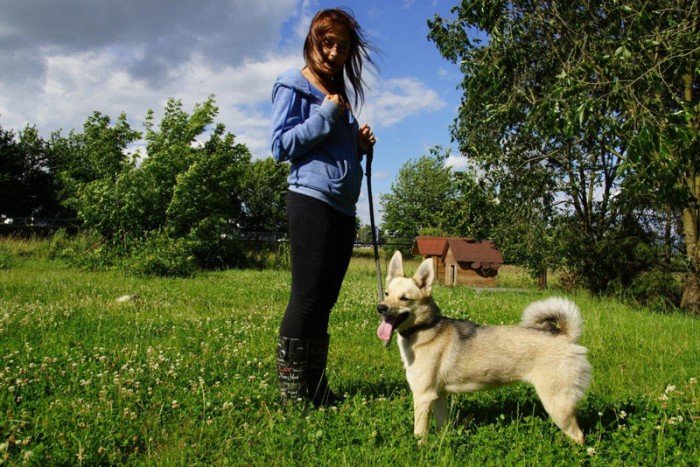 Iskierka