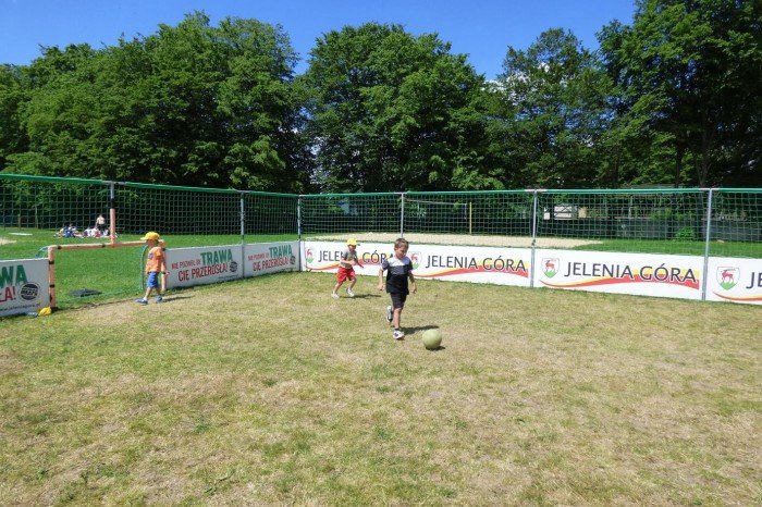 pokolonie-z-mosem-foto-64088