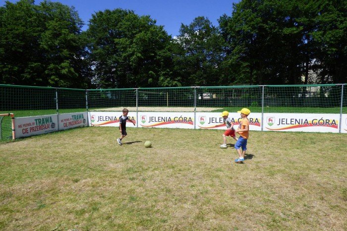 pokolonie-z-mosem-foto-64088