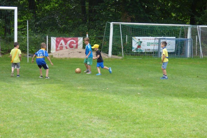 pokolonie-z-mosem-foto-64088