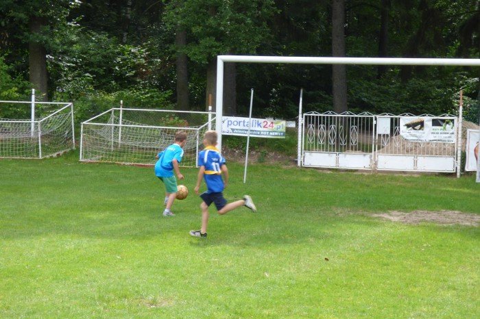 pokolonie-z-mosem-foto-64088