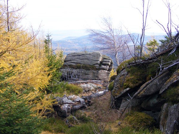 w-niezwyka-wedrowke-po-regionie-z-jelonkacom-foto-64093
