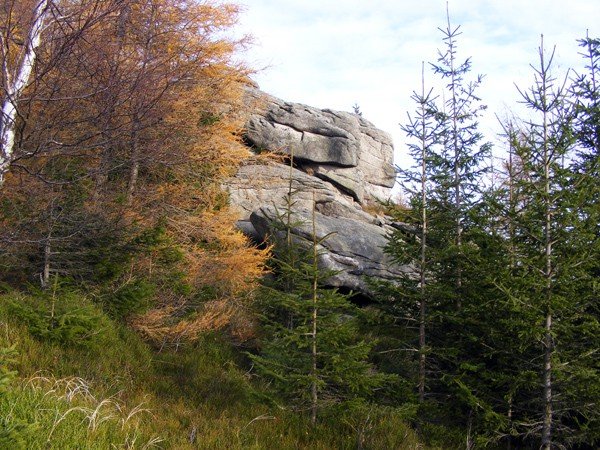 w-niezwyka-wedrowke-po-regionie-z-jelonkacom-foto-64093