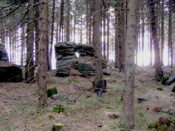 w-niezwyka-wedrowke-po-regionie-z-jelonkacom-foto-64093