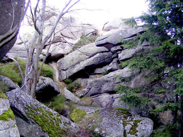 w-niezwyka-wedrowke-po-regionie-z-jelonkacom-foto-64093
