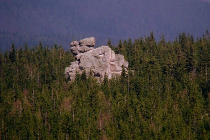 w-niezwyka-wedrowke-po-regionie-z-jelonkacom-foto-64093