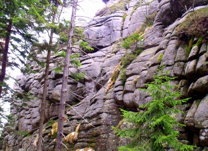 w-niezwyka-wedrowke-po-regionie-z-jelonkacom-foto-64093